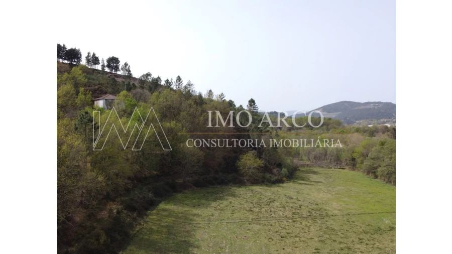 Quinta T3 para Venda em Cerva e Limões Foto 5