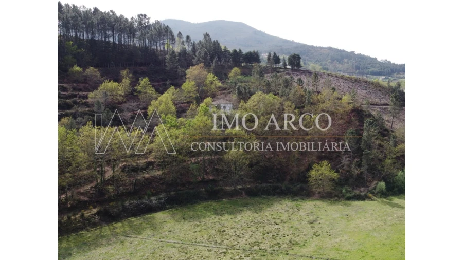 Quinta T3 para Venda em Cerva e Limões Foto 9