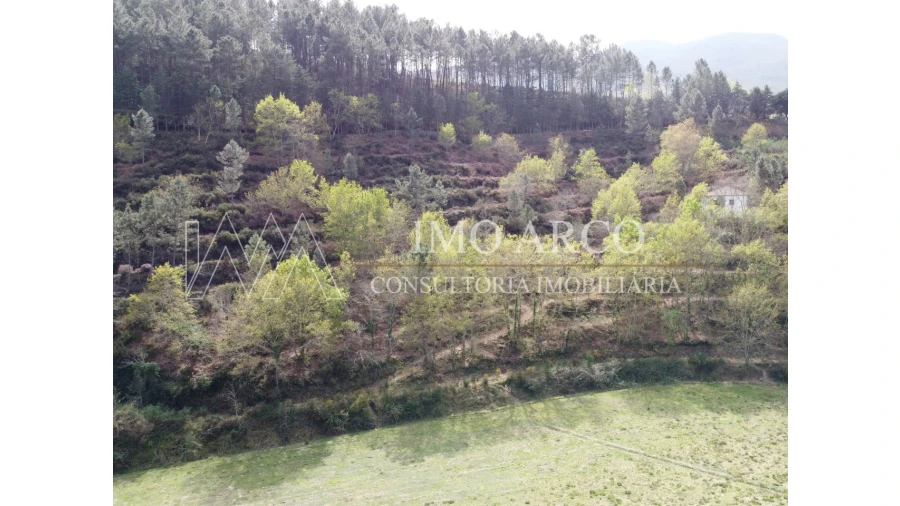 Quinta T3 para Venda em Cerva e Limões Foto 12