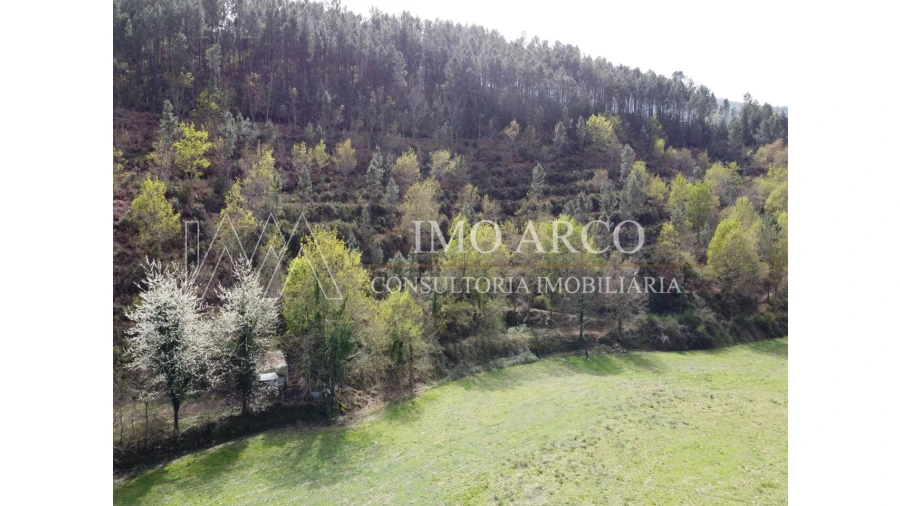 Quinta T3 para Venda em Cerva e Limões Foto 20