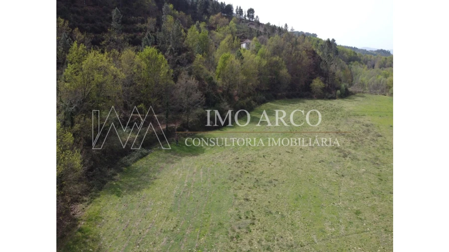 Quinta T3 para Venda em Cerva e Limões Foto 23