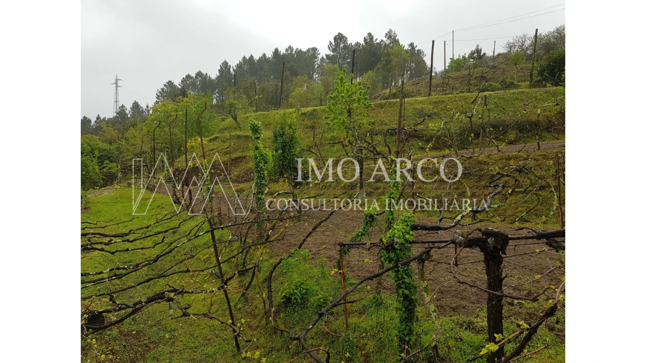 Quinta T4 para Venda em Atei Foto 10