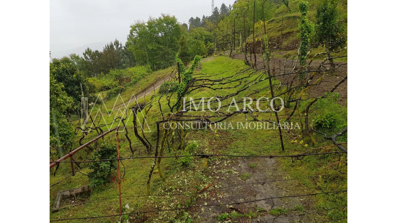 Quinta T4 para Venda em Atei Foto 11