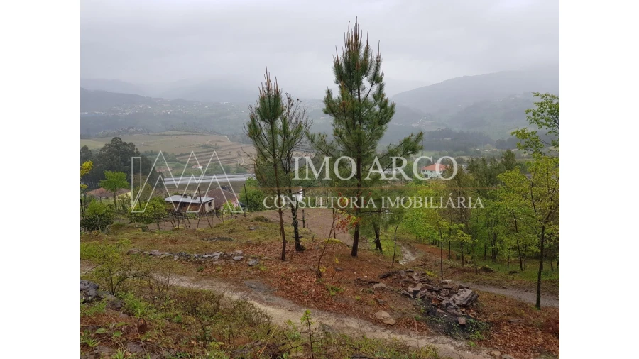 Quinta T4 para Venda em Atei Foto 9