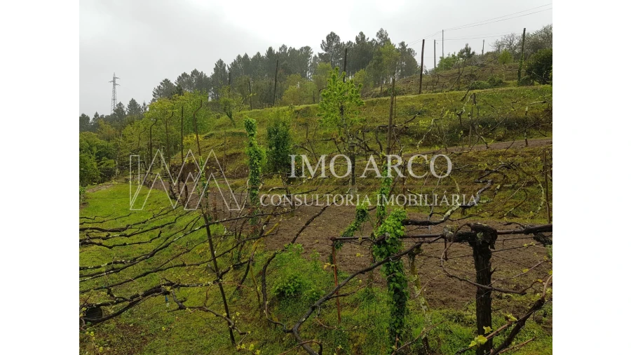 Quinta T4 para Venda em Atei Foto 10