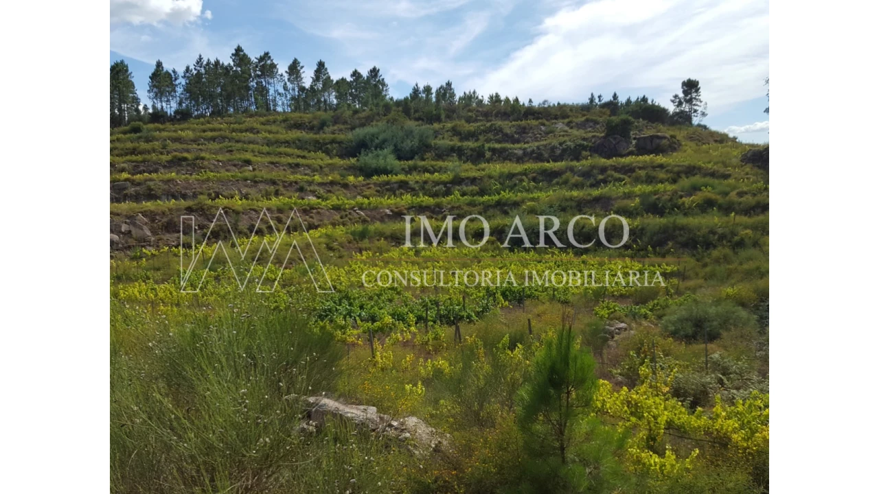 Terreno Agricola ou Rústico para Venda em Atei Foto 3
