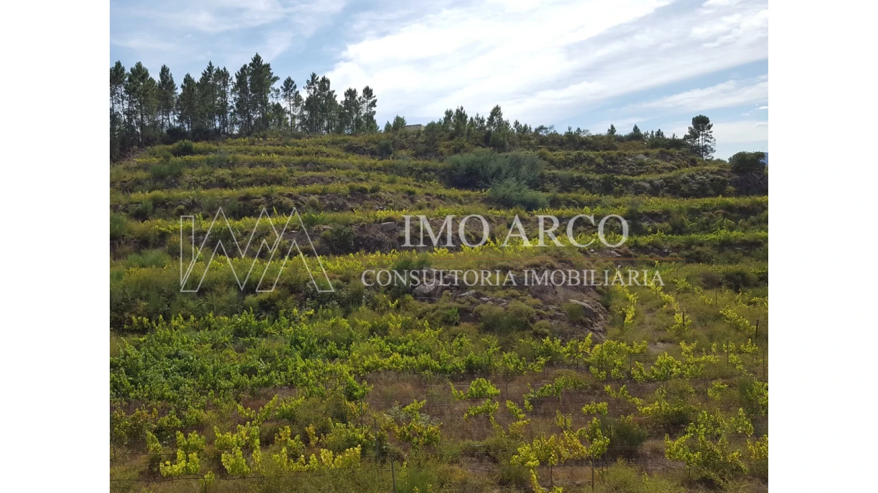 Terreno Agricola ou Rústico para Venda em Atei Foto 2