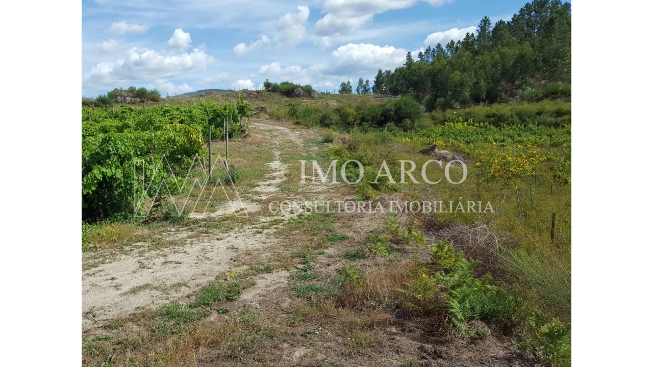 Terreno Agricola ou Rústico para Venda em Atei Foto 5