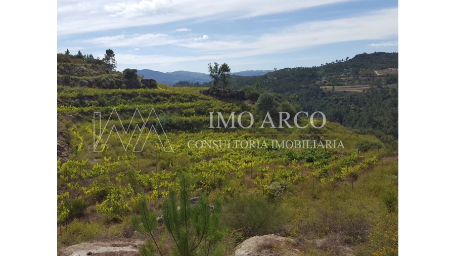 Terreno Agricola ou Rústico para Venda em Atei Foto 4