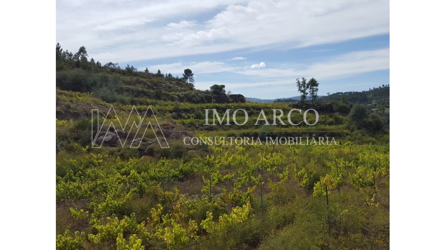 Terreno Agricola ou Rústico para Venda em Atei Foto 7