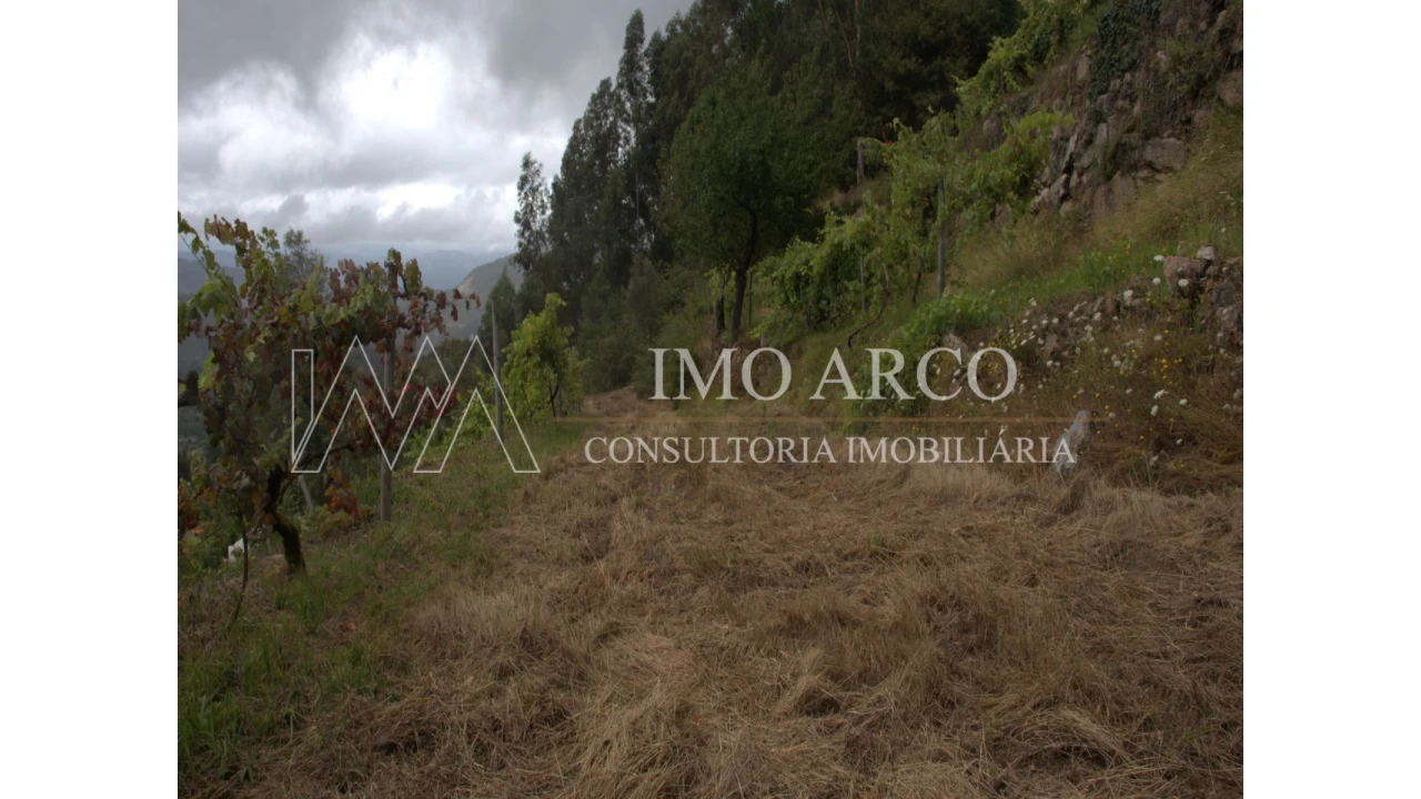 Moradia T3 para Venda em Cerva e Limões Foto 17