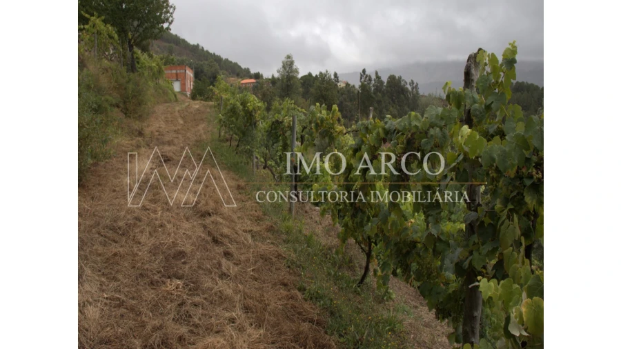 Moradia T3 para Venda em Cerva e Limões Foto 18