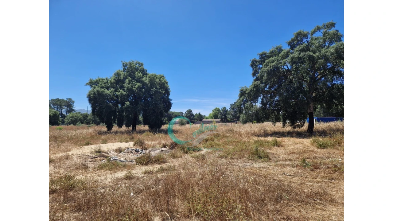 Quinta T4 para Venda em Azeitão (São Lourenço e São Simão) Foto 29