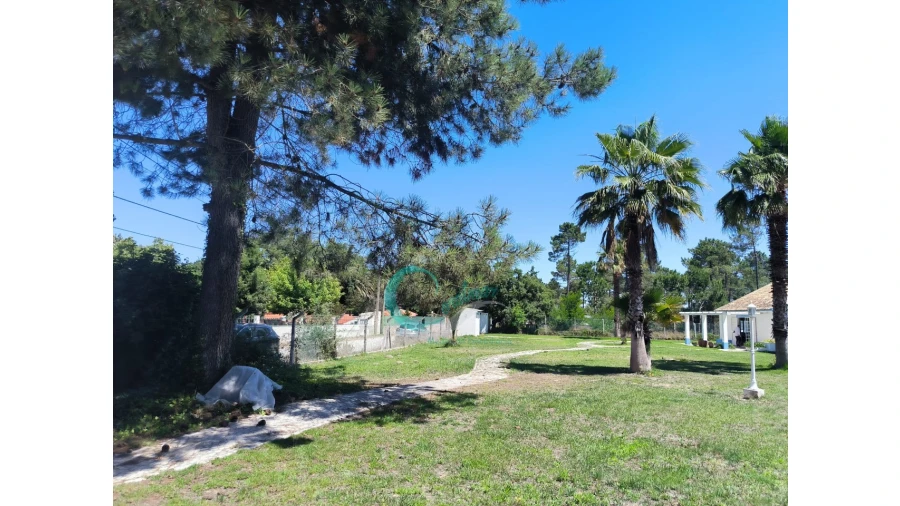 Quinta T4 para Venda em Azeitão (São Lourenço e São Simão) Foto 45