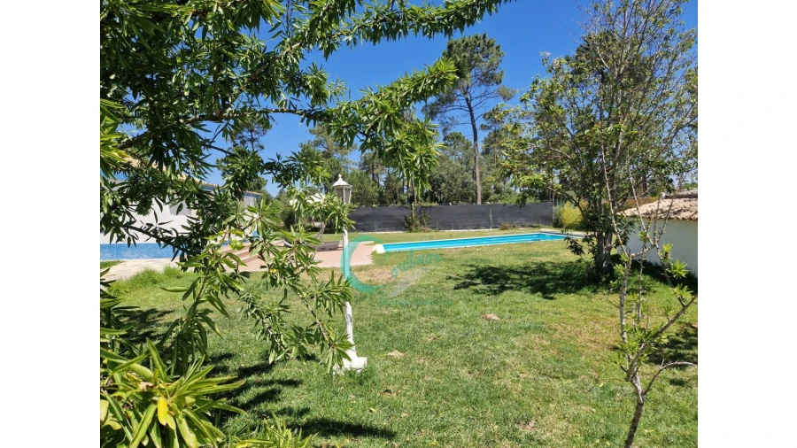 Quinta T4 para Venda em Azeitão (São Lourenço e São Simão) Foto 30