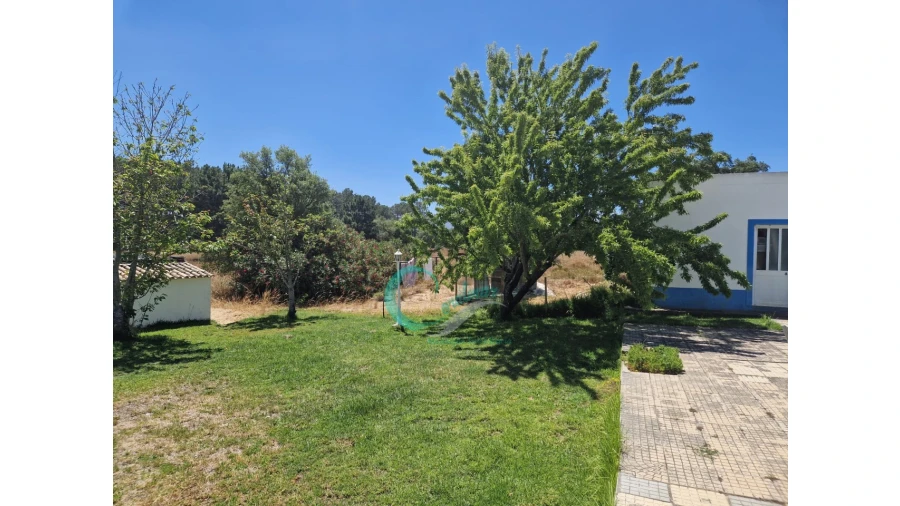 Quinta T4 para Venda em Azeitão (São Lourenço e São Simão) Foto 31