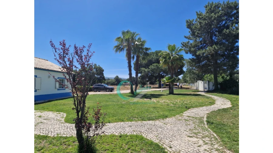 Quinta T4 para Venda em Azeitão (São Lourenço e São Simão) Foto 35