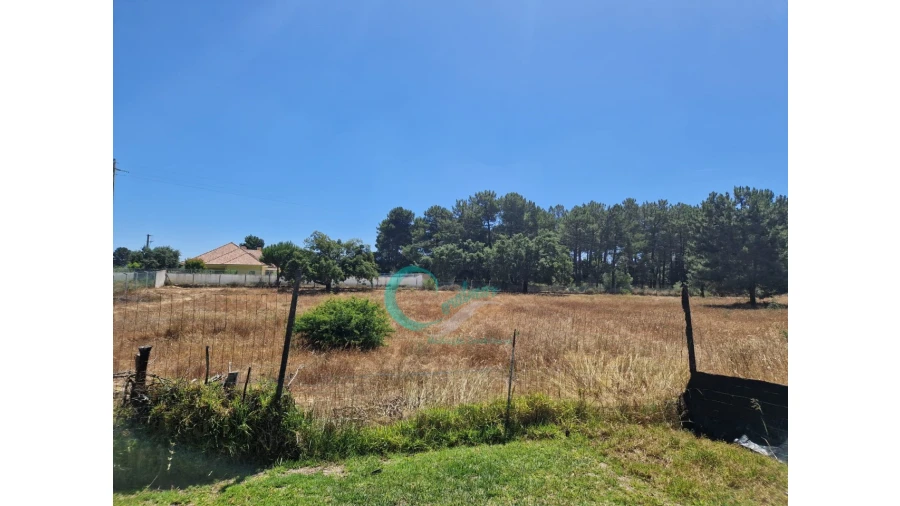Quinta T4 para Venda em Azeitão (São Lourenço e São Simão) Foto 43