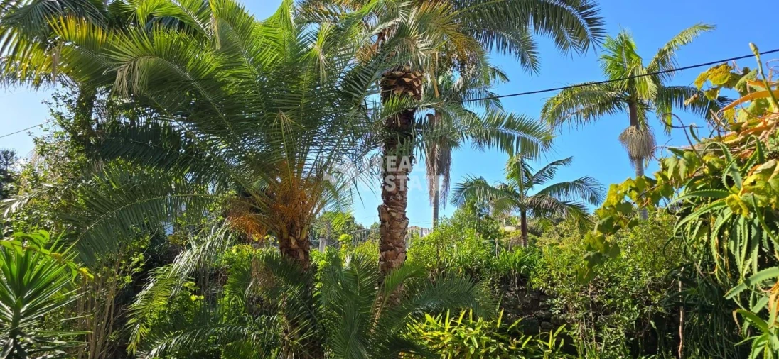 Moradia T4 para Venda em Ponta Delgada Foto 18