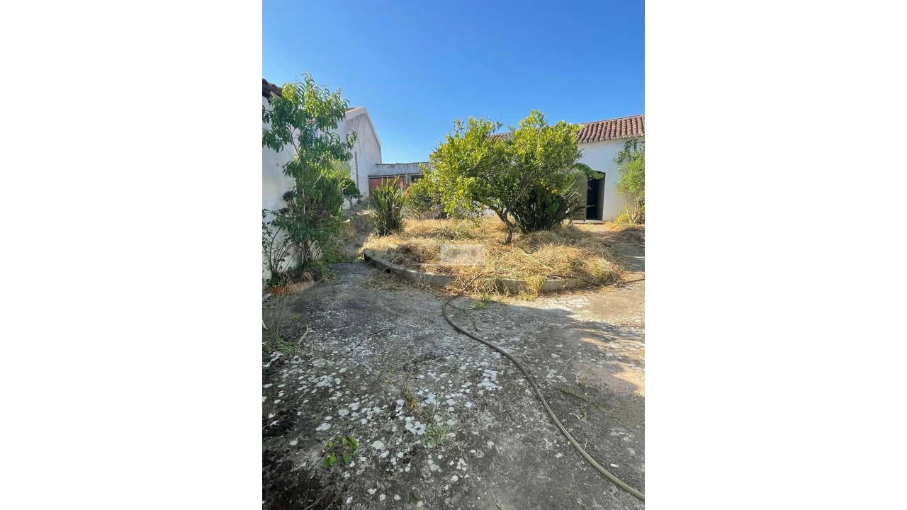 Moradia T4 para Venda em Vila de Frades Foto 32