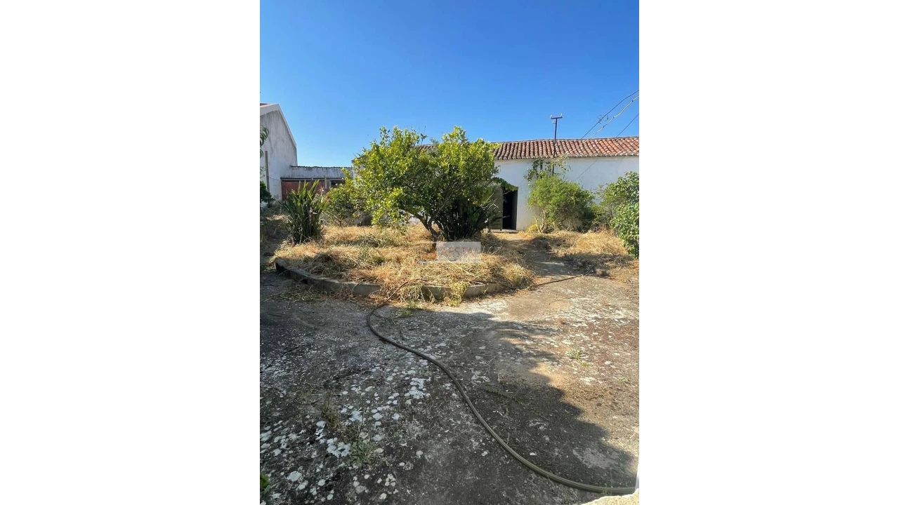 Moradia T4 para Venda em Vila de Frades Foto 31