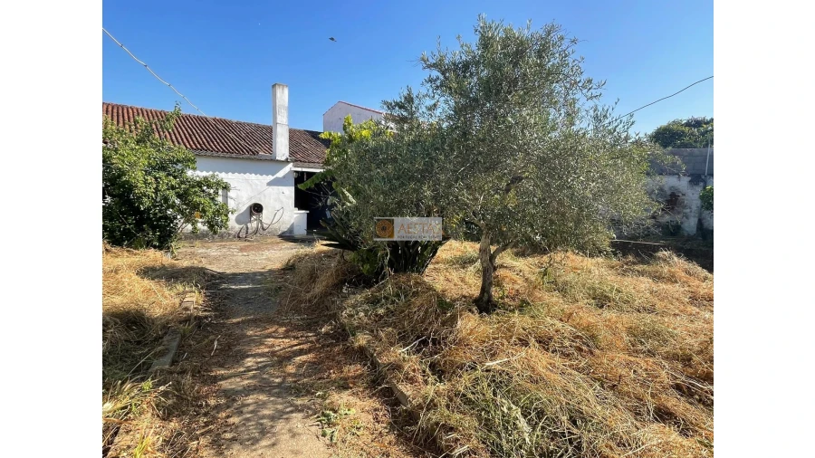 Moradia T4 para Venda em Vila de Frades Foto 45