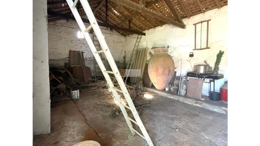 Moradia T4 para Venda em Vila de Frades Foto 37