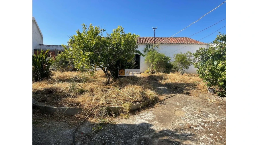 Moradia T4 para Venda em Vila de Frades Foto 41