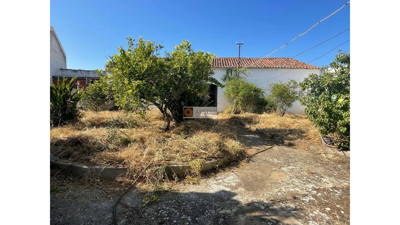 Moradia T4 para Venda em Vila de Frades Foto 41