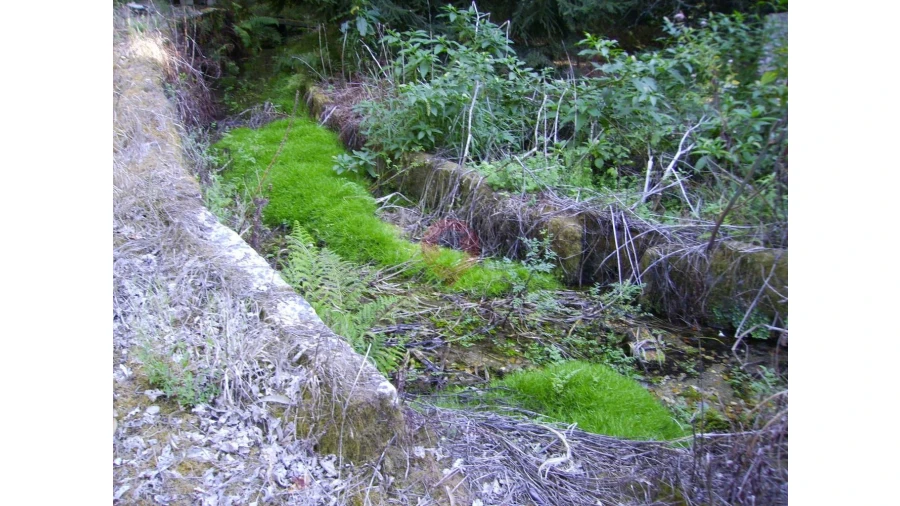 Armazém para Venda em Verdoejo Foto 12