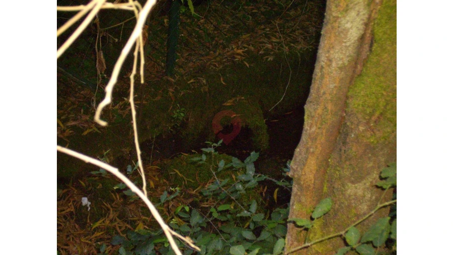 Armazém para Venda em Verdoejo Foto 5