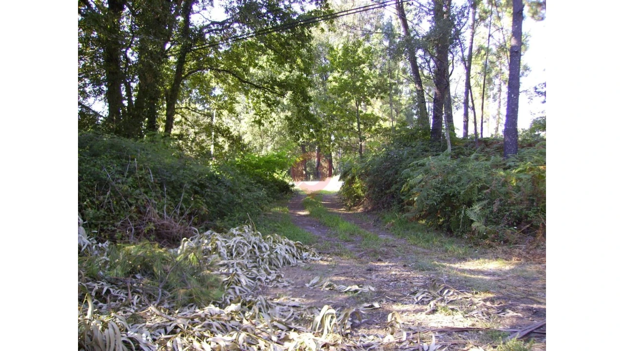 Armazém para Venda em Verdoejo Foto 8