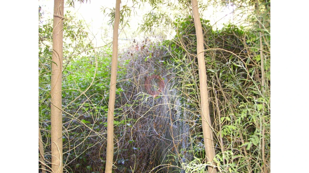 Armazém para Venda em Verdoejo Foto 4