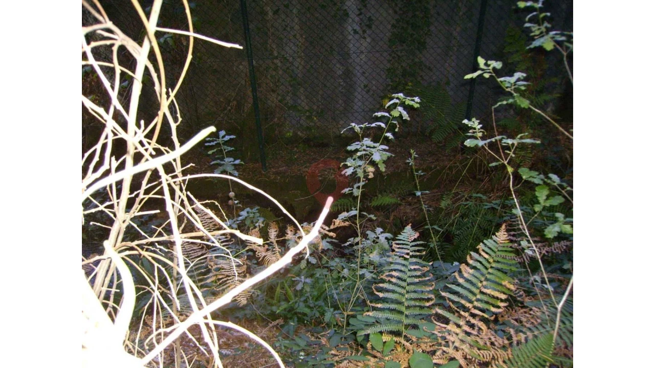 Armazém para Venda em Verdoejo Foto 3