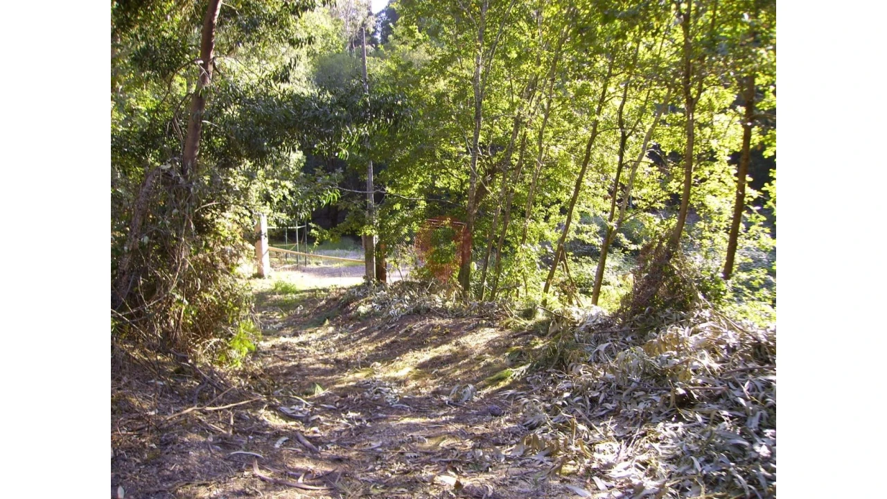 Armazém para Venda em Verdoejo Foto 17