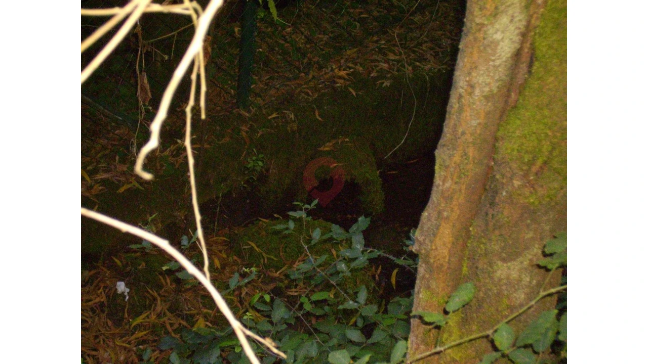 Armazém para Venda em Verdoejo Foto 5