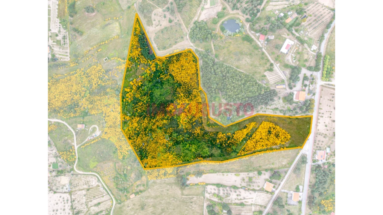 Terreno para Venda em Figueiró da Serra e Freixo da Serra Foto 1