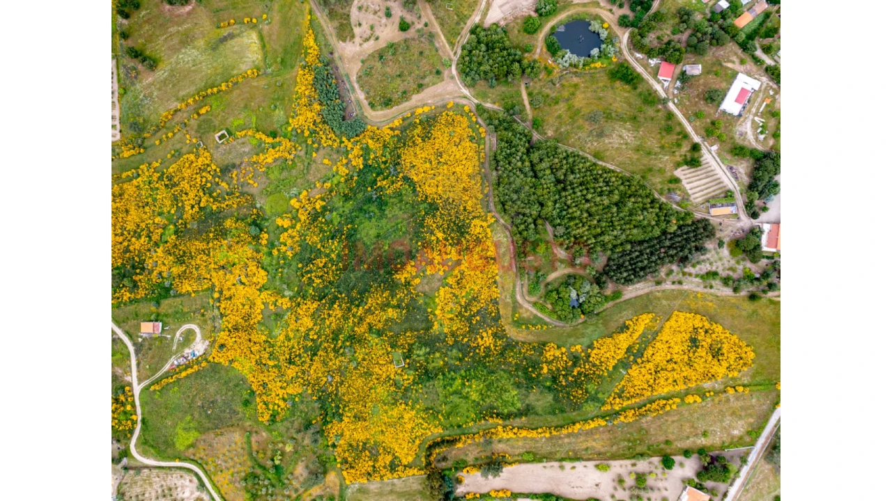 Terreno para Venda em Figueiró da Serra e Freixo da Serra Foto 3