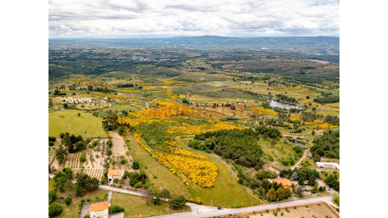 Terreno para Venda em Figueiró da Serra e Freixo da Serra Foto 4