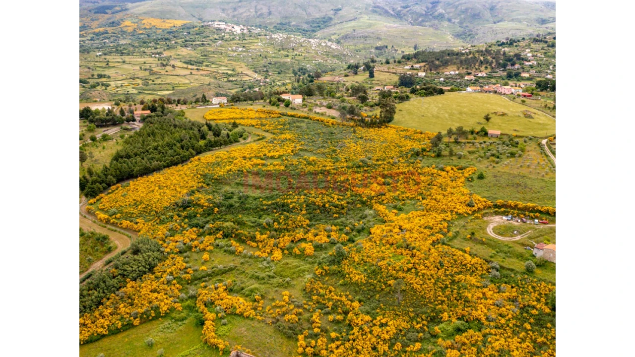 Terreno para Venda em Figueiró da Serra e Freixo da Serra Foto 6