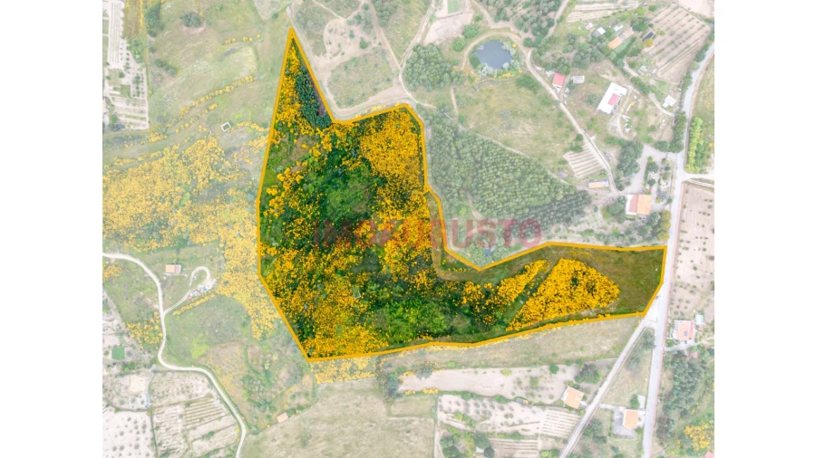 Terreno para Venda em Figueiró da Serra e Freixo da Serra Foto 1