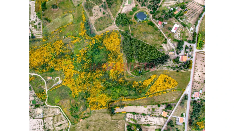 Terreno para Venda em Figueiró da Serra e Freixo da Serra Foto 2