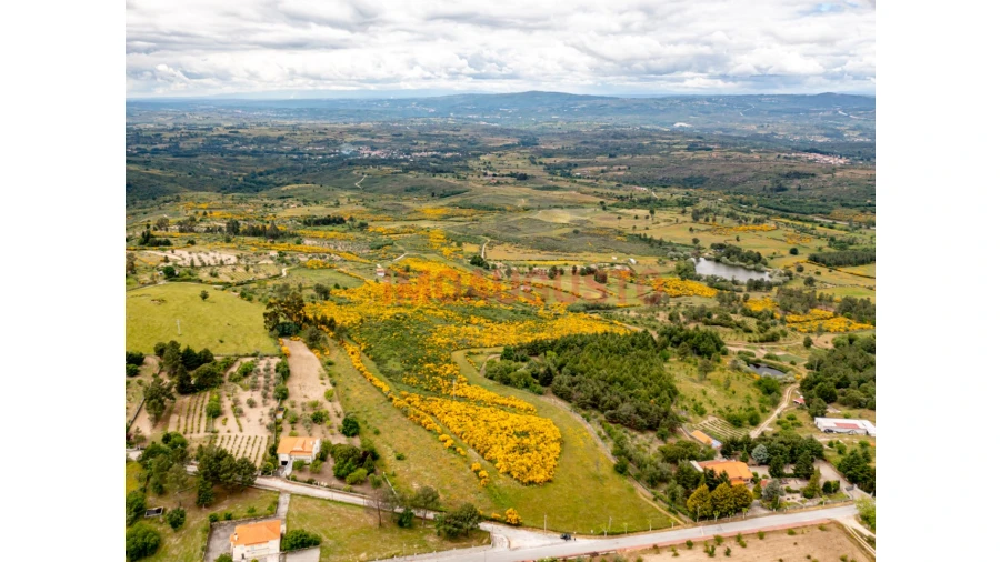 Terreno para Venda em Figueiró da Serra e Freixo da Serra Foto 4