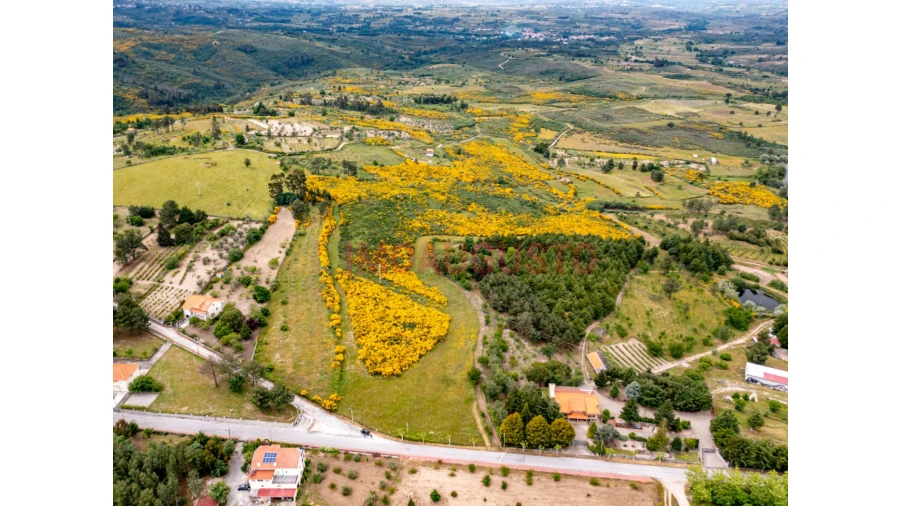 Terreno para Venda em Figueiró da Serra e Freixo da Serra Foto 5