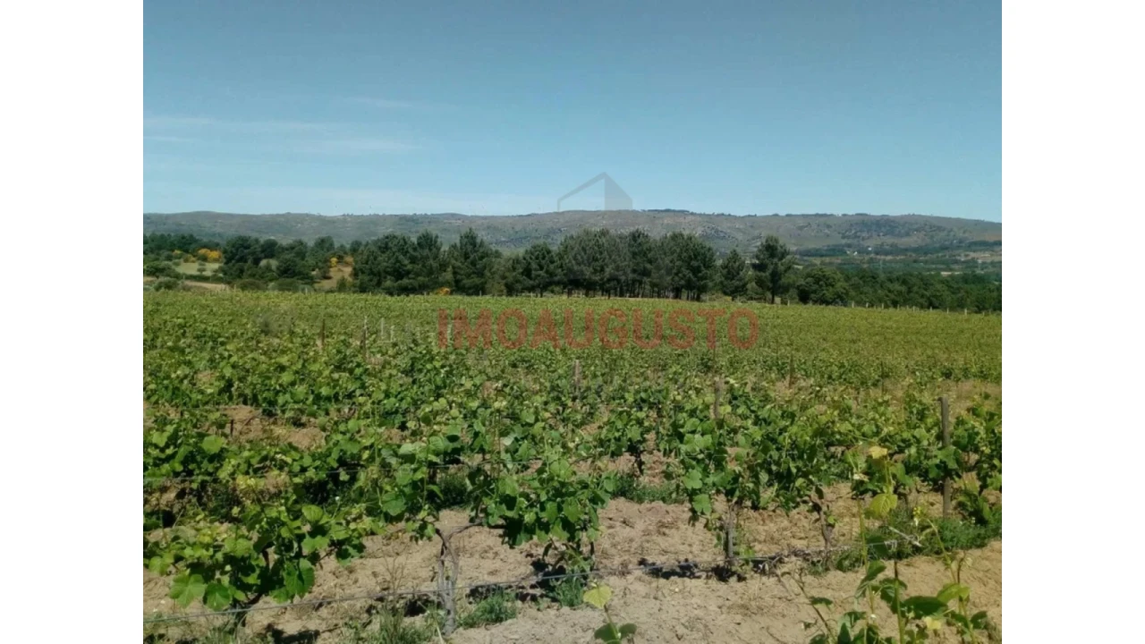Quinta T4 para Venda em Maçal do Chão Foto 3