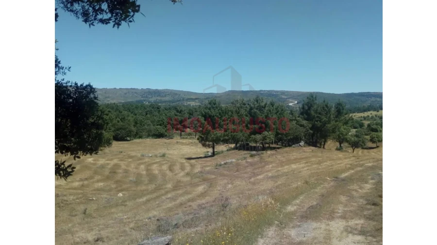 Quinta T4 para Venda em Maçal do Chão Foto 5