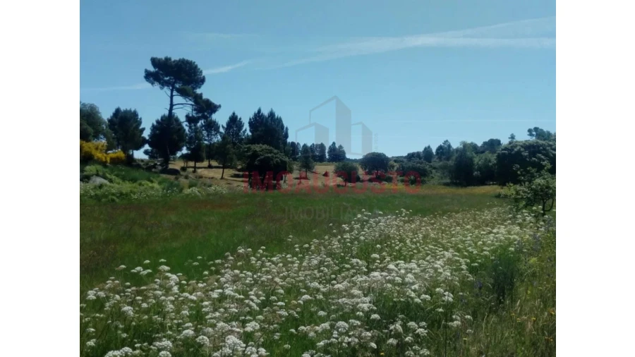 Quinta T4 para Venda em Maçal do Chão Foto 6