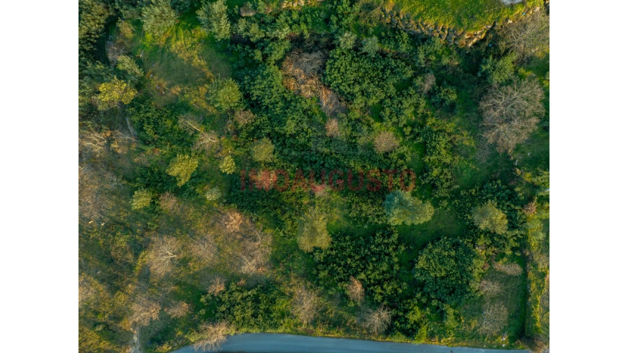 Terreno para Venda em Belmonte e Colmeal da Torre Foto 2