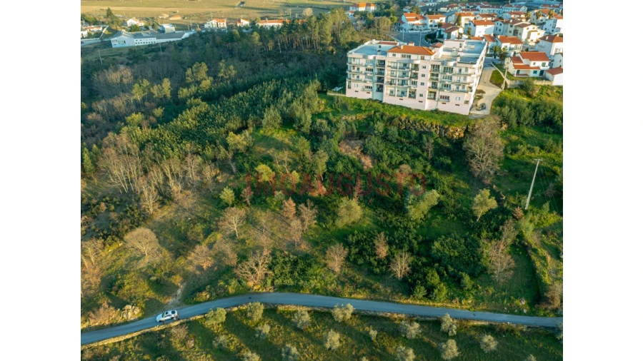 Terreno para Venda em Belmonte e Colmeal da Torre