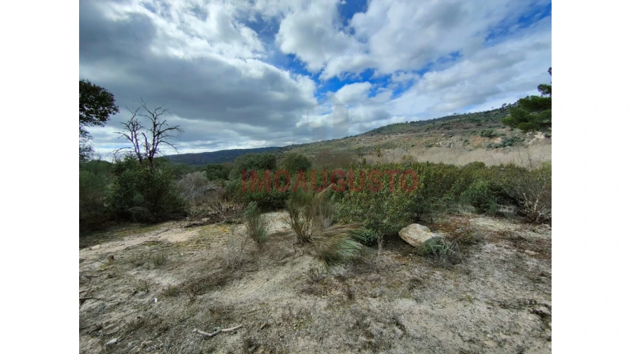 Terreno para Venda em Almeida Foto 4